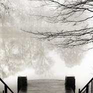 Piedmont Park Series (Dock) by Terrell Clark, Image 1.