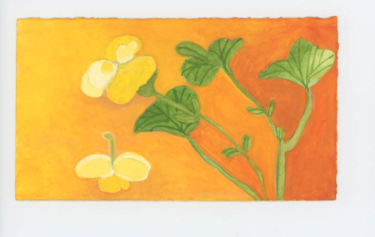 The Begonia, #1885, Image 1.