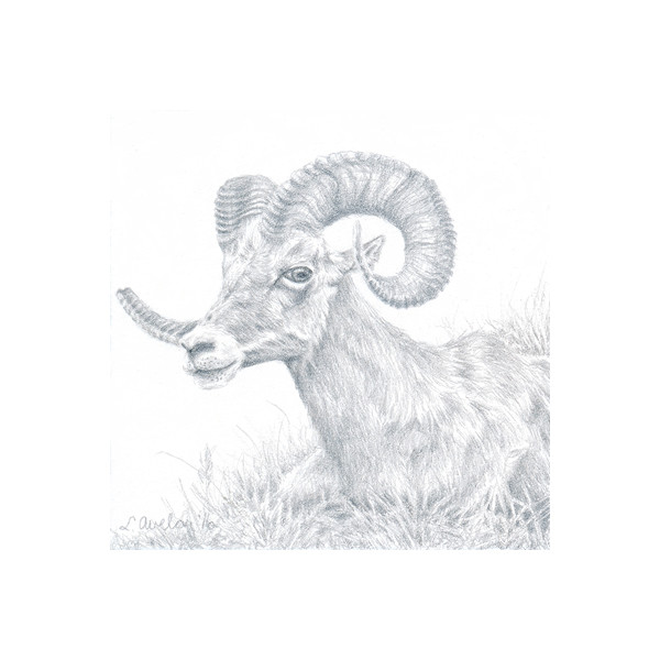 The Ram by Lonetta Avelar 