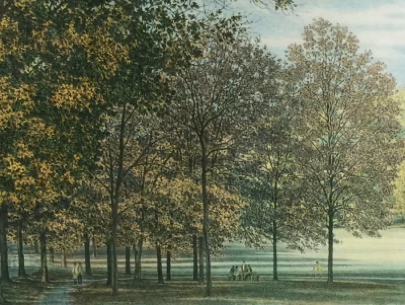 Friends by Carl Hoffner 