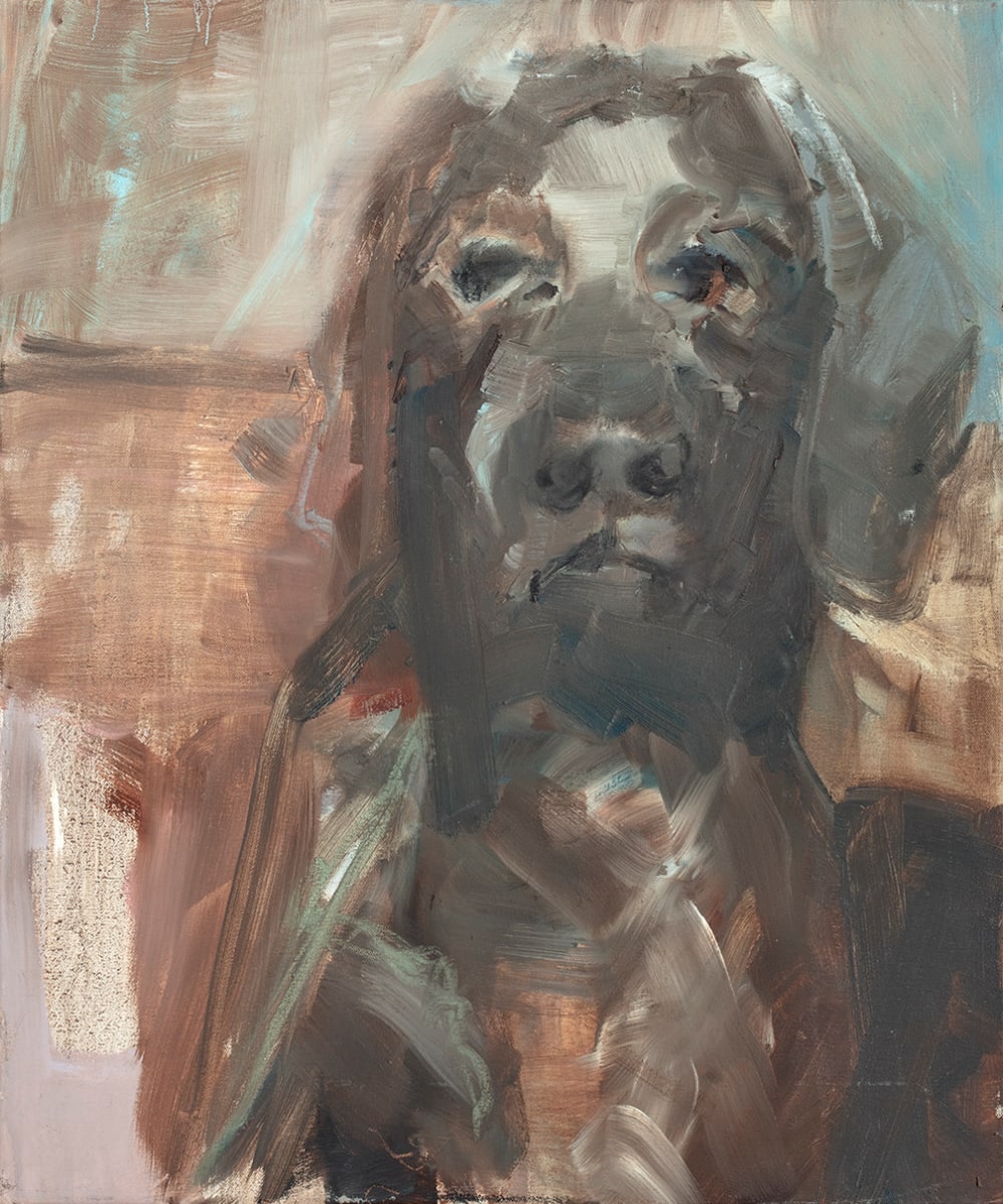Umberdog, Image 1.