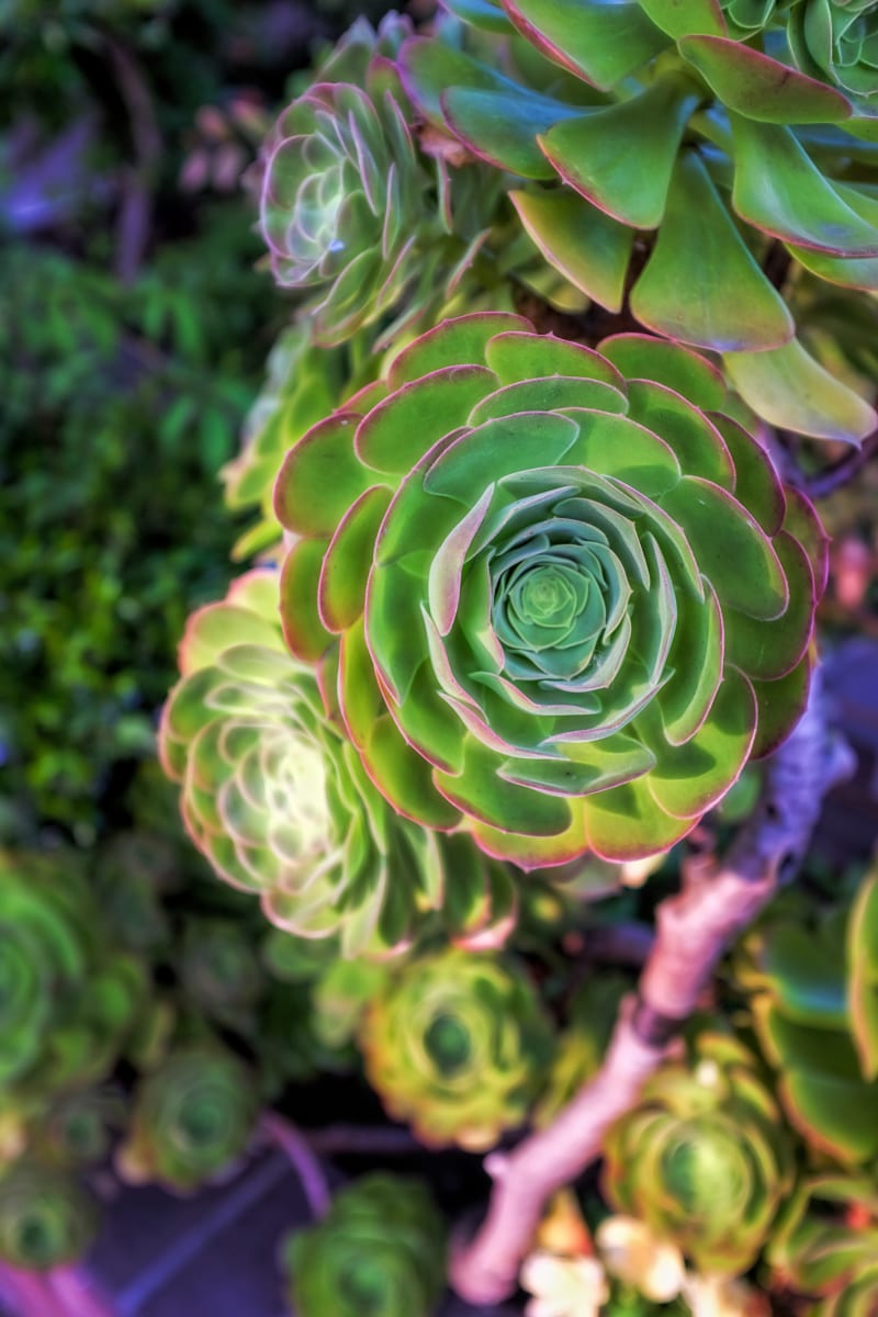 Nature's Wonder by Jeff Shyu 