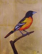 Baltimore Oriole by Tim Hunter, Image 1.