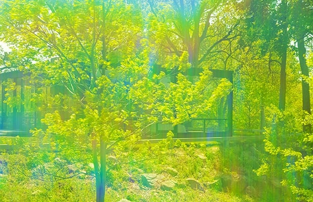6629 by James Welling, Image 1.