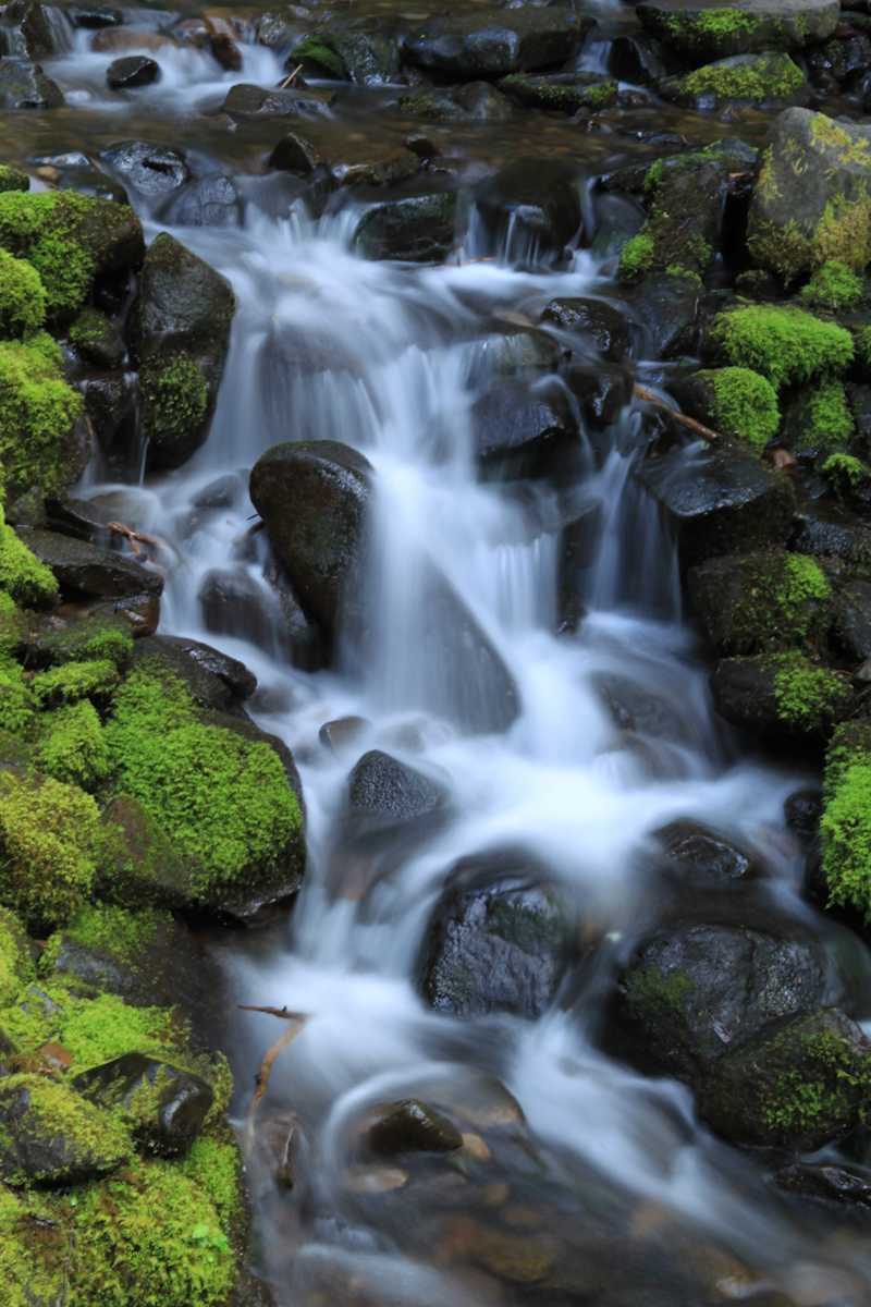 Running Stream by Ping S. Chu, MD, Image 1.
