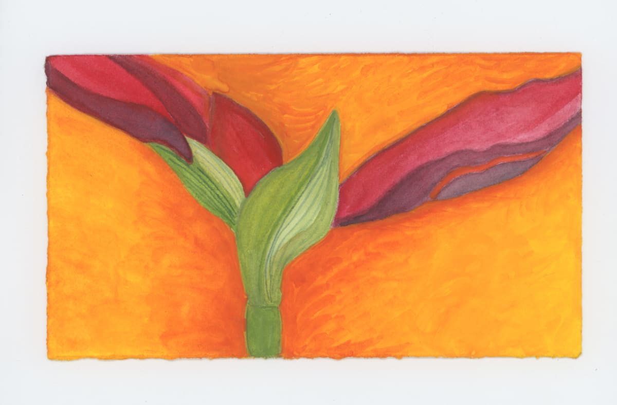 The Amarlyllis, #1884 