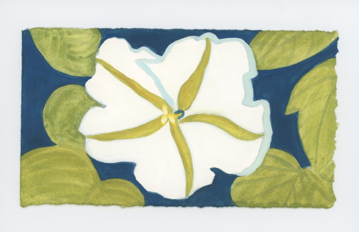 Moon Flower, #1729, Image 1.