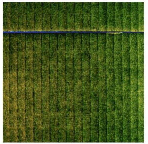 Green with Horizontal Blue by Peter Harris, Image 1.