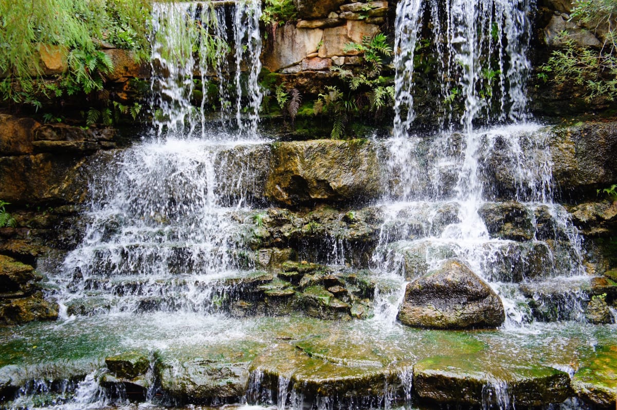 Twin Falls by Andreia Barbieri, MD 