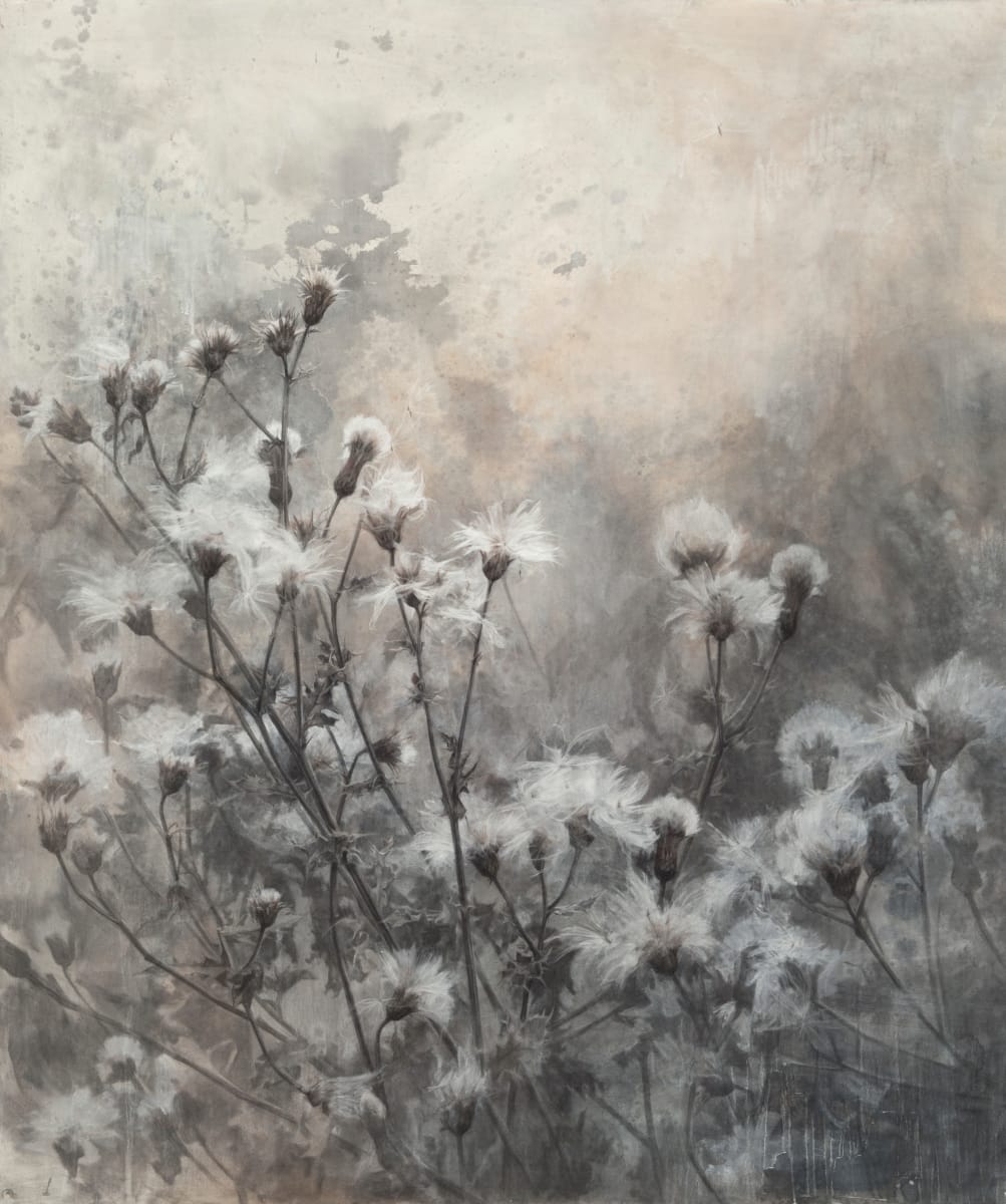 In the Gloaming by Robin Cole 