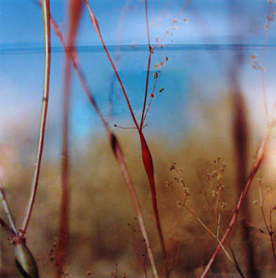 Untitled by Kathryn Kolb 