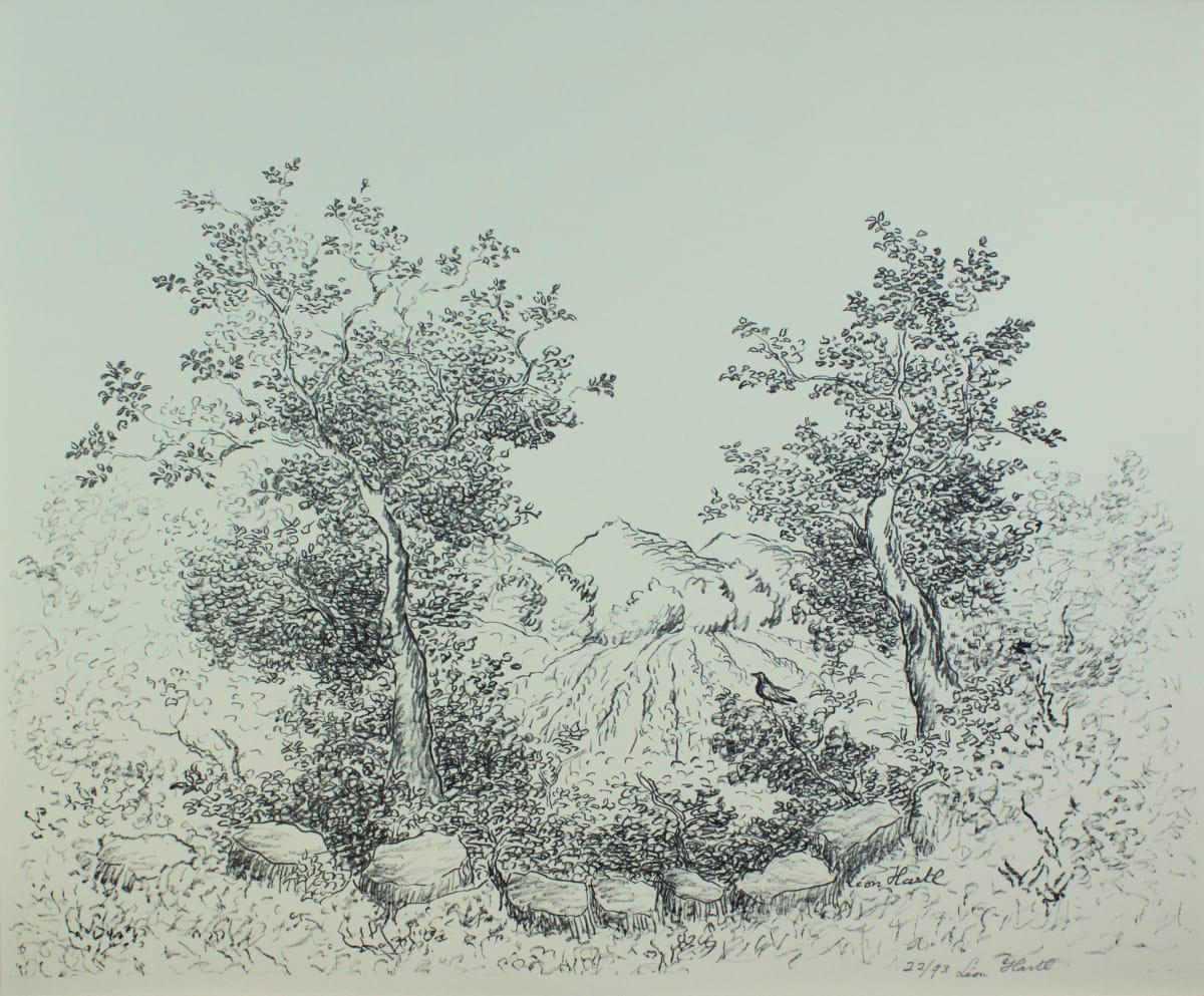 Trees & Field by Léon Hartl 