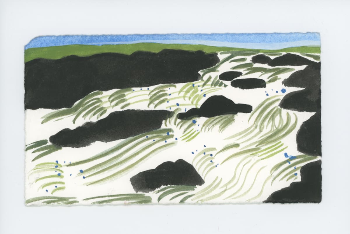 Afternoon at Great Falls, #1777 by Raya Bodnarchuk, Image 1.