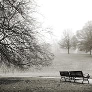 Piedmont Park Series (Bench) by Terrell Clark 