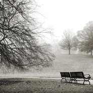 Piedmont Park Series (Bench) by Terrell Clark, Image 1.