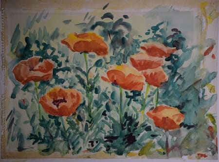 Poppies by Tunis Ponsen 