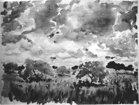 Meadows by Tunis Ponsen, Image 1.