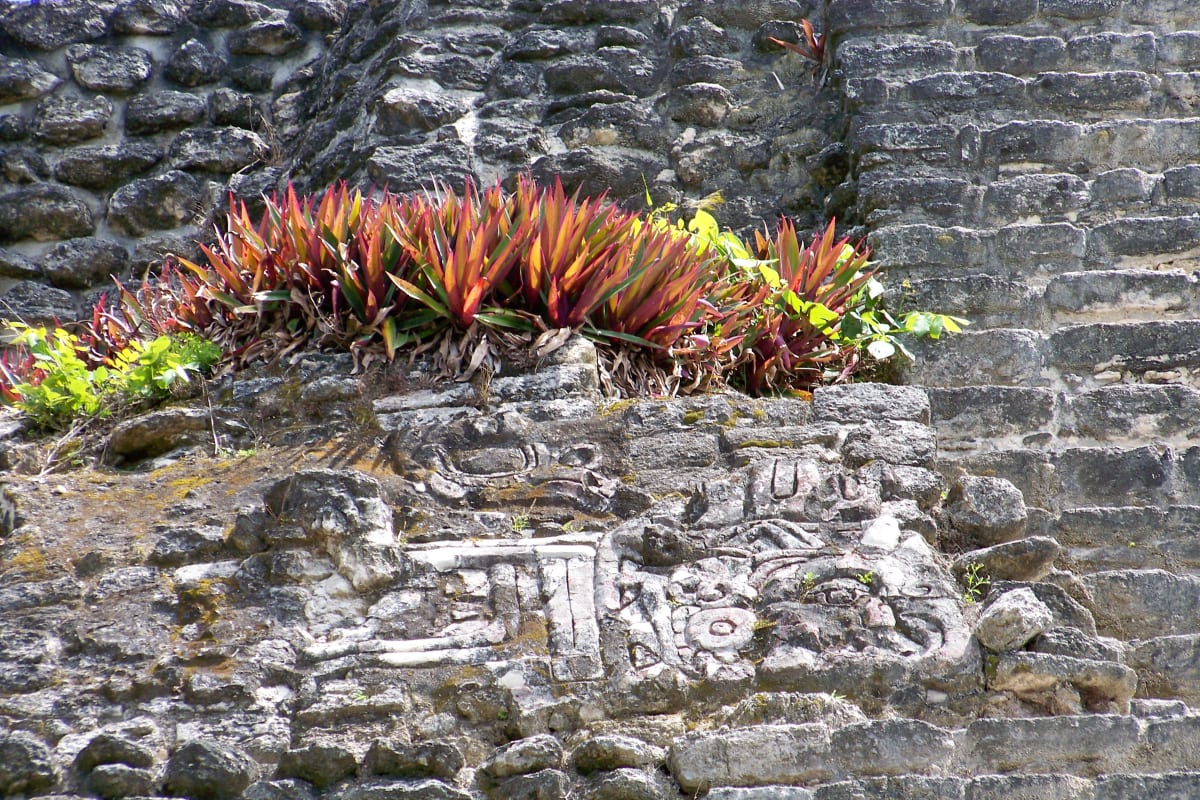 On Mayan Ruins by Joy Shiller 