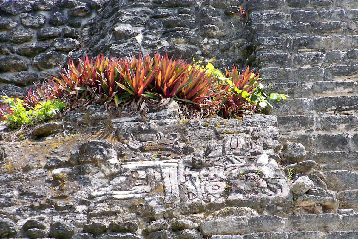 On Mayan Ruins by Joy Shiller, Image 1.