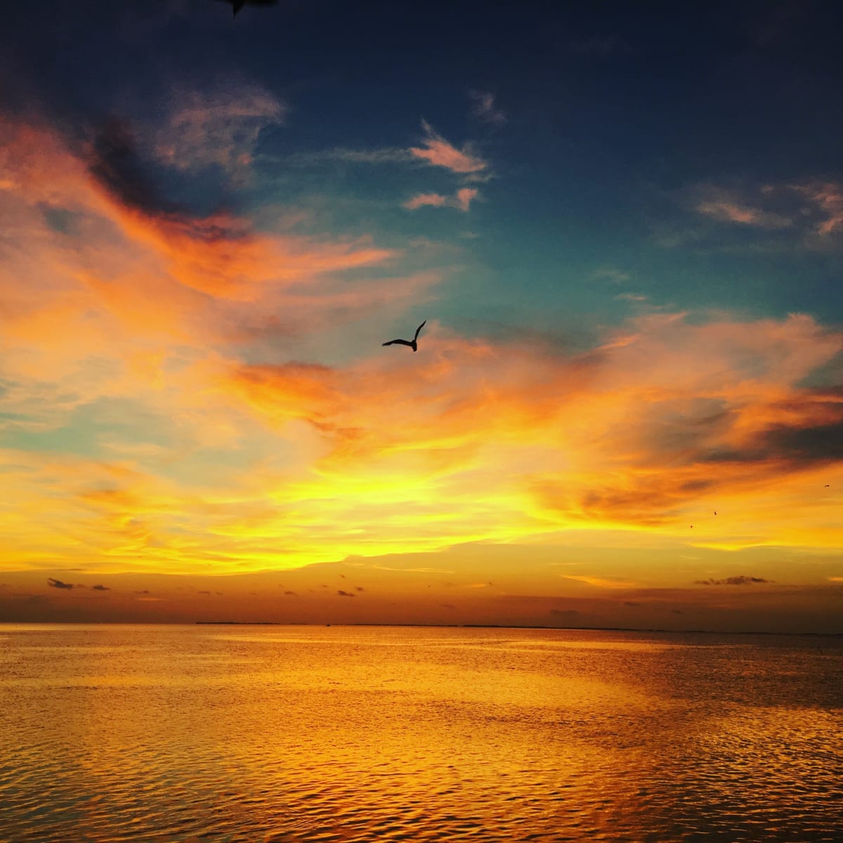 Bolivar Sunset by Tara Klovenski 