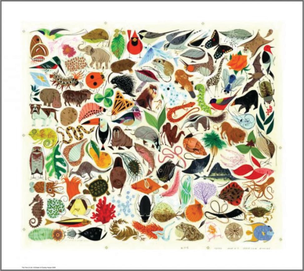 Tree of Life by Charley Harper 
