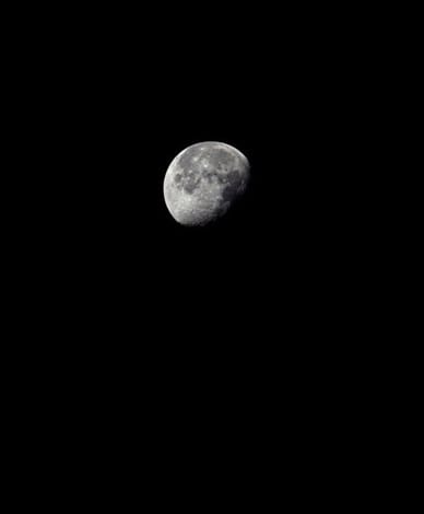 Dead Military Navigation Satellite (Cosmos 985) Near the Disk of the Moon by Trevor Paglen 