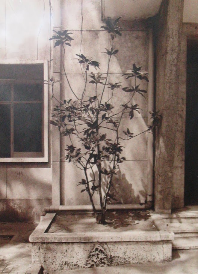 Vietnam by E. Wright Ledbetter 