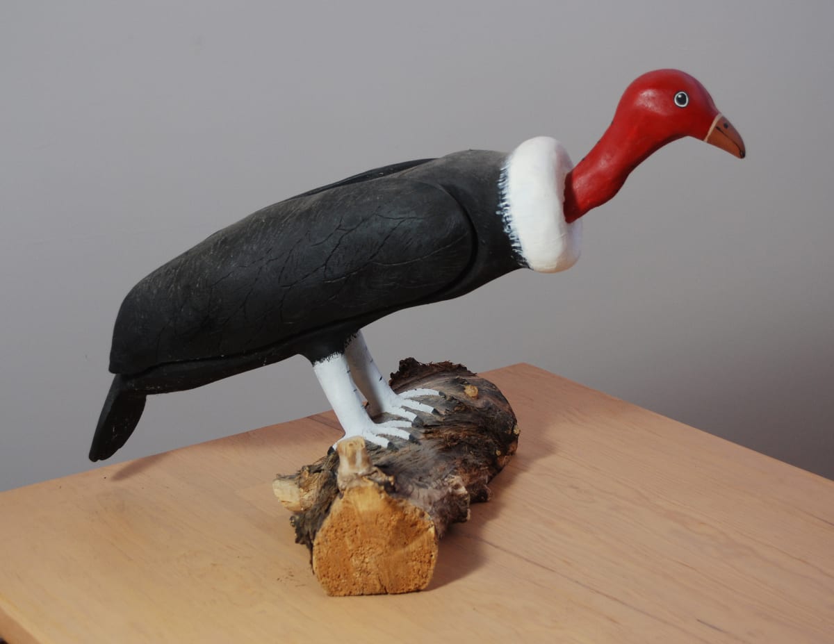 Buzzards by Rory Alvarez 