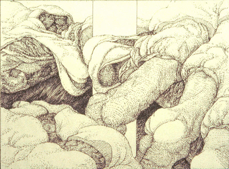 Bodyscape VI? 