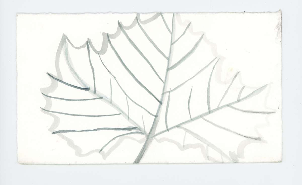 A Last Leaf, #1916, Image 1.