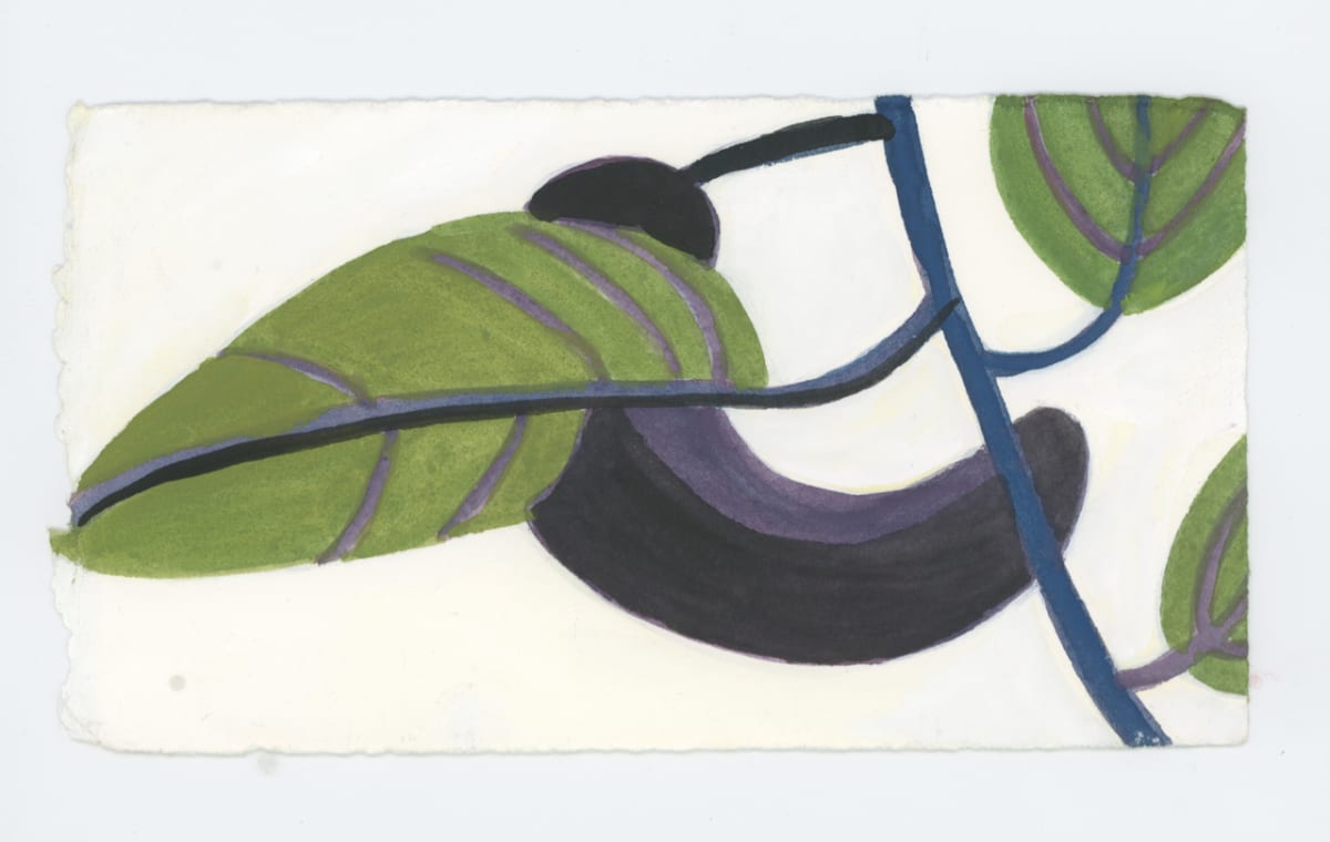 A Thin Eggplant, #1732 