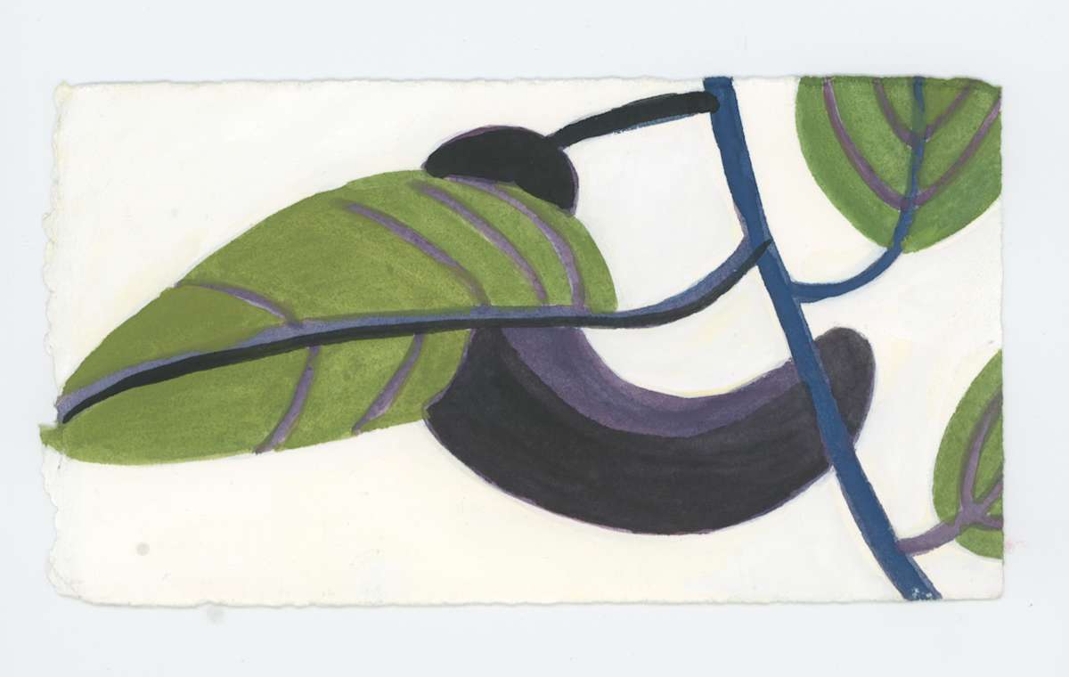 A Thin Eggplant, #1732, Image 1.