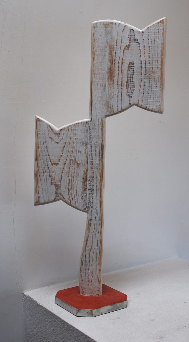 Flag by Russell Adams 