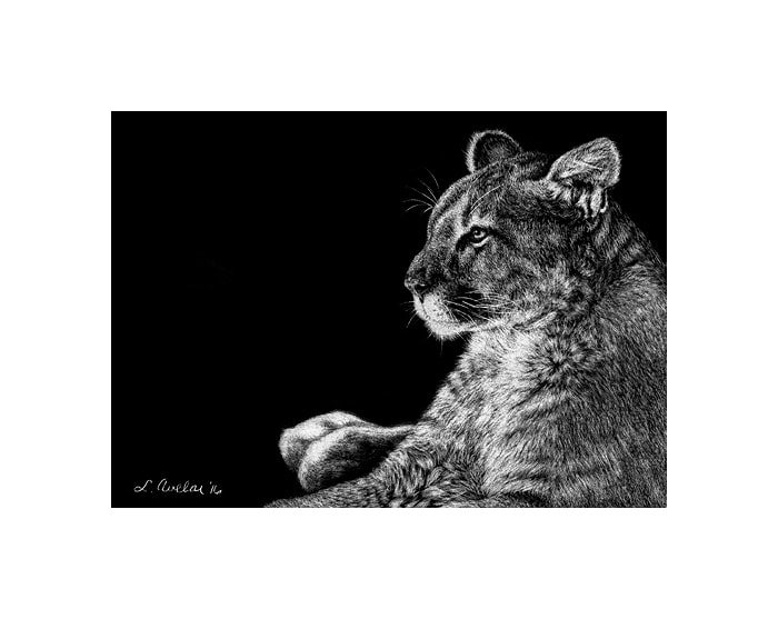 Surveyor by Lonetta Avelar, Image 1.