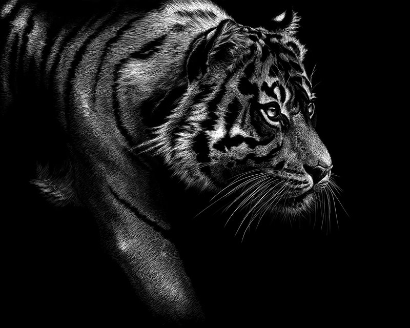 Intensity by Lonetta Avelar, Image 1.