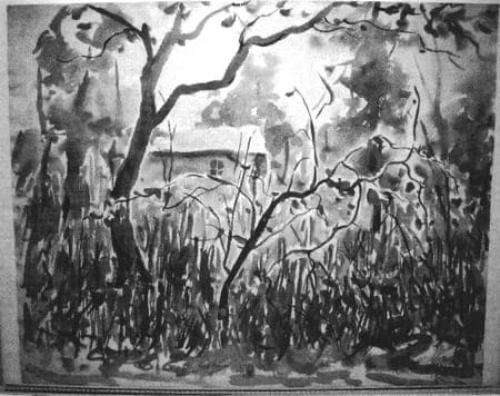 Hidden Cabin by Tunis Ponsen, Image 1.