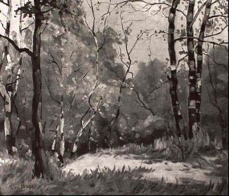 In the Forest by Tunis Ponsen, Image 1.