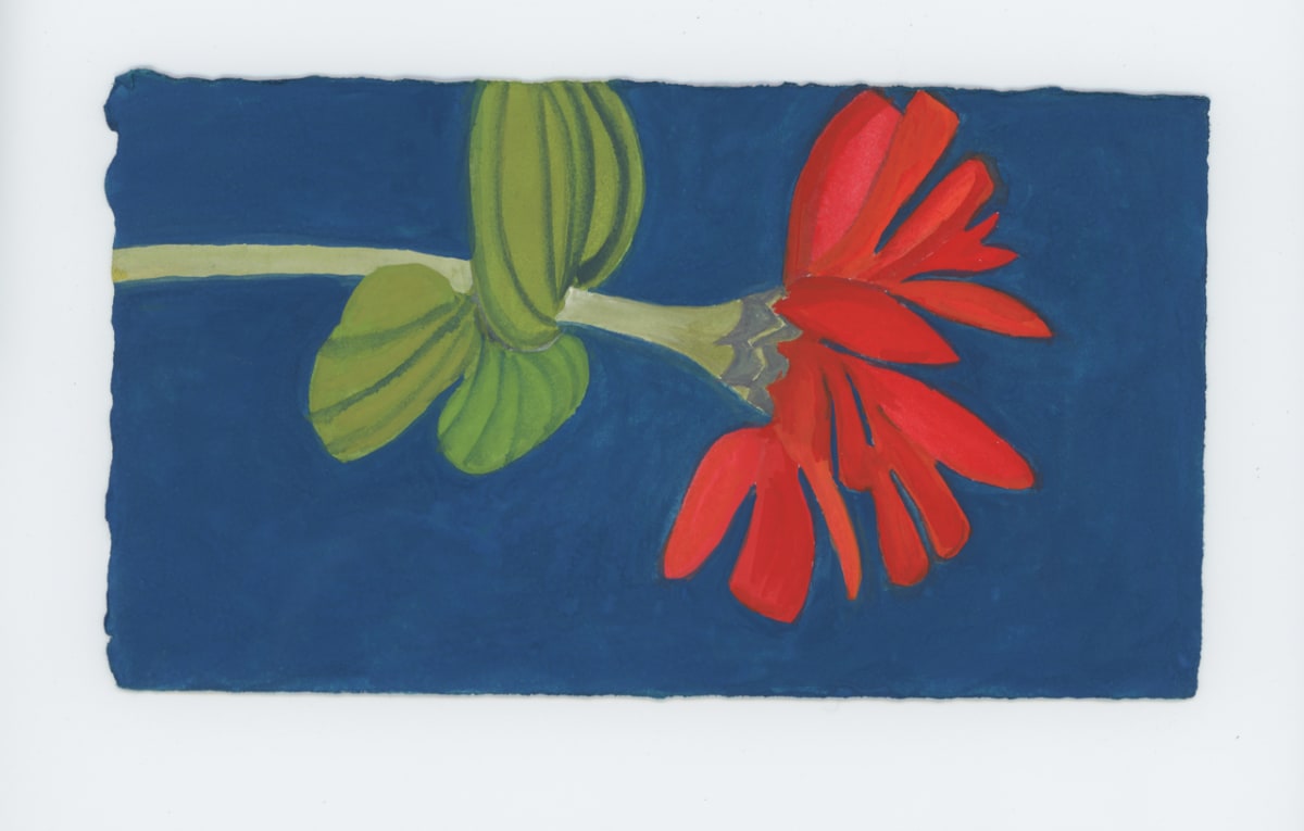 The Vast Zinnia Here, #1800 by Raya Bodnarchuk, Image 1.