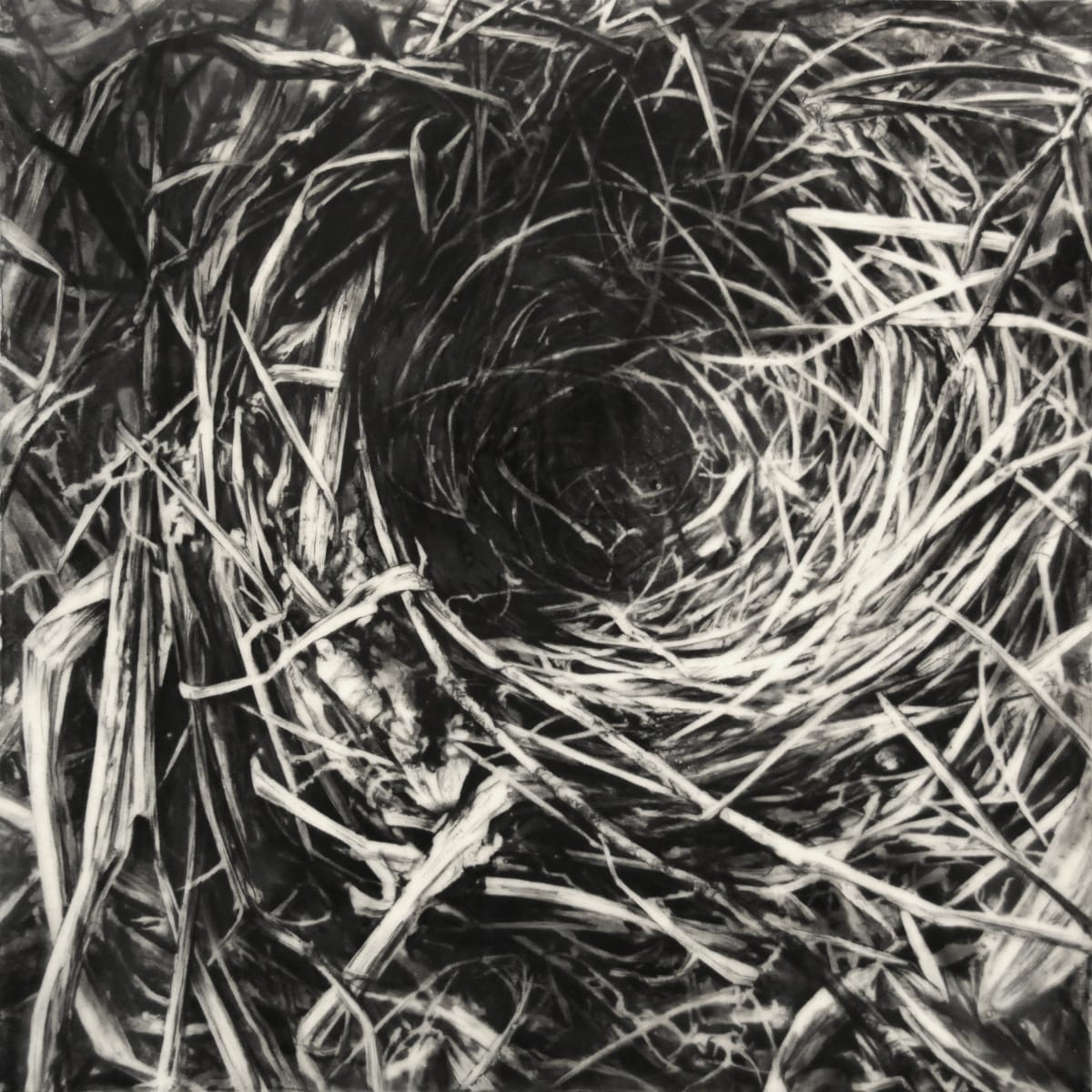 Instinct I by Robin Cole, Image 1.
