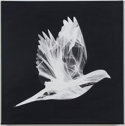 Flight by Lori Lejeune, Image 4.