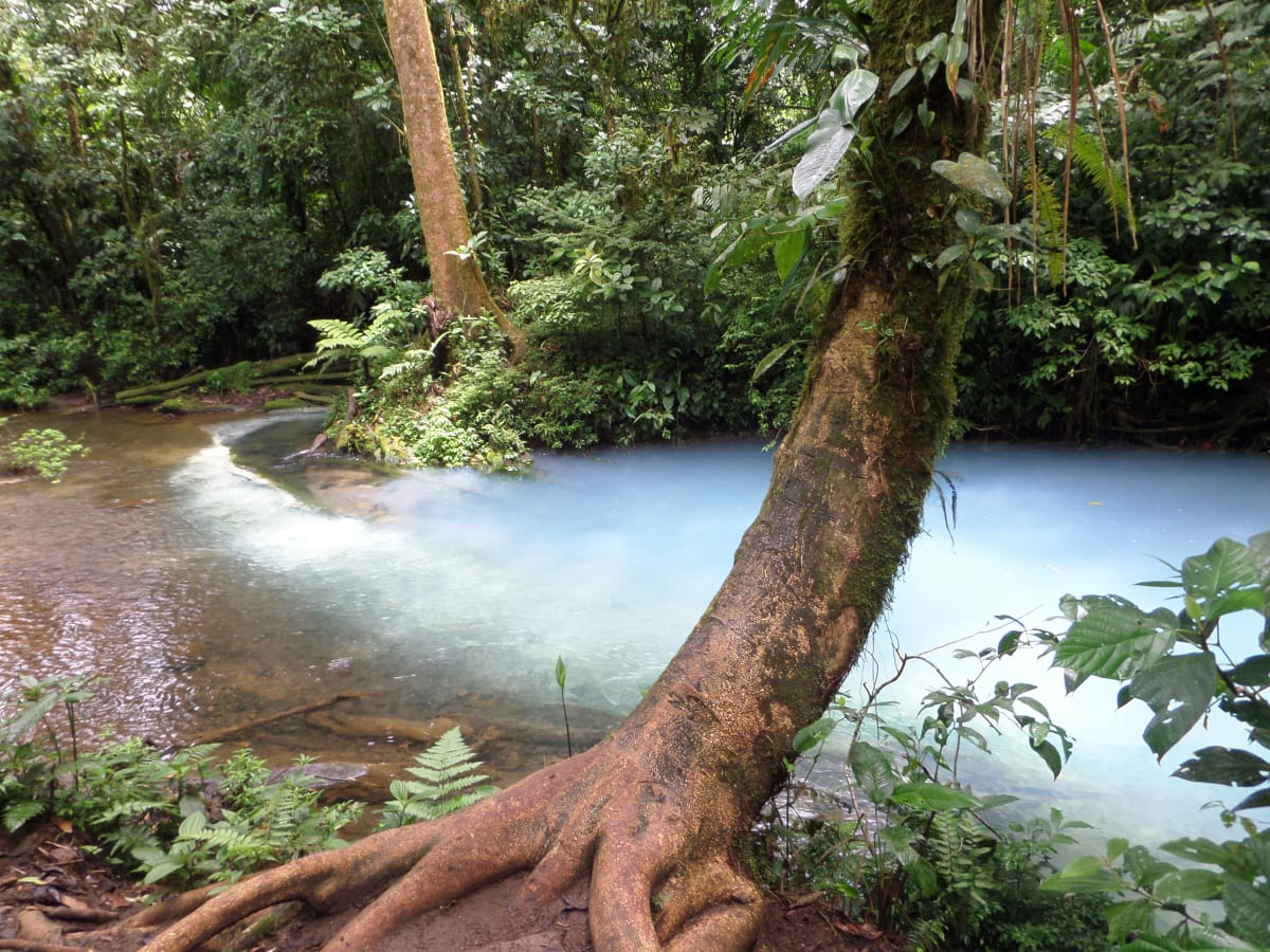 Tranquil Waters by Chrysta Lloyd 