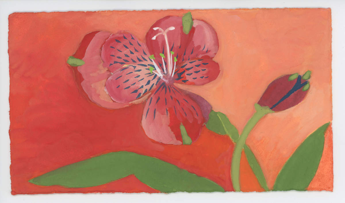 Alstroemerias, #1607, Image 1.