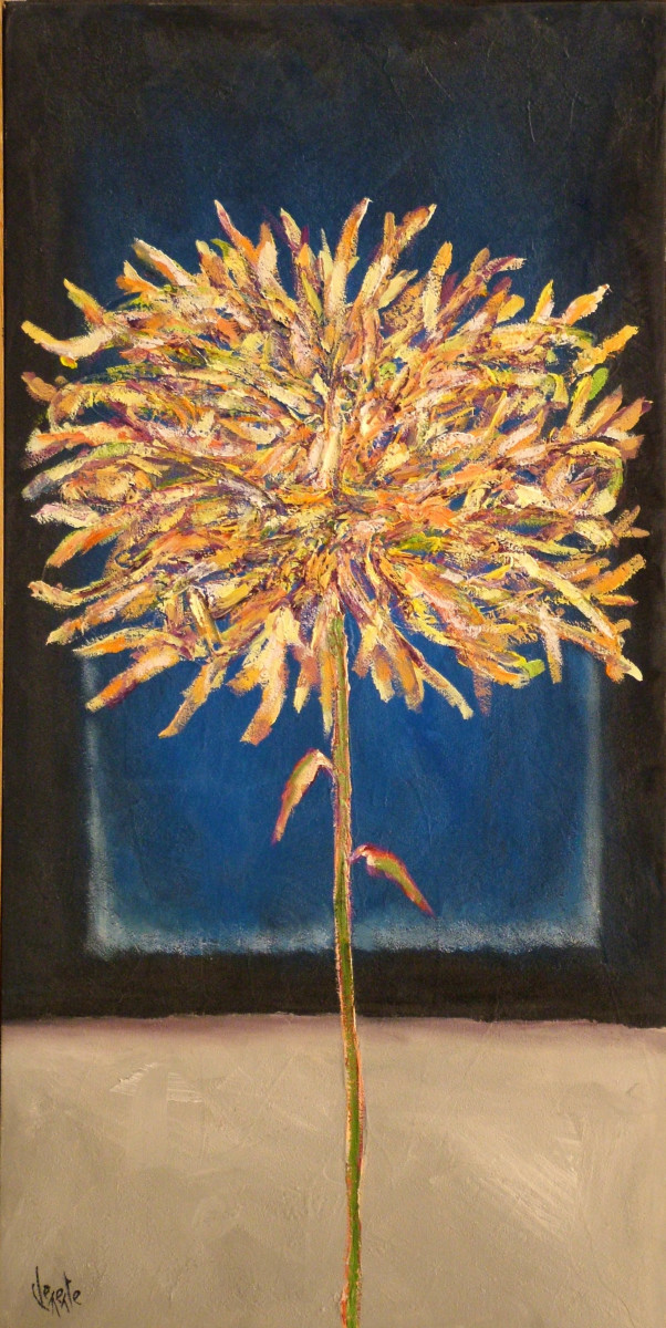 F505 by Clemente Mimun 