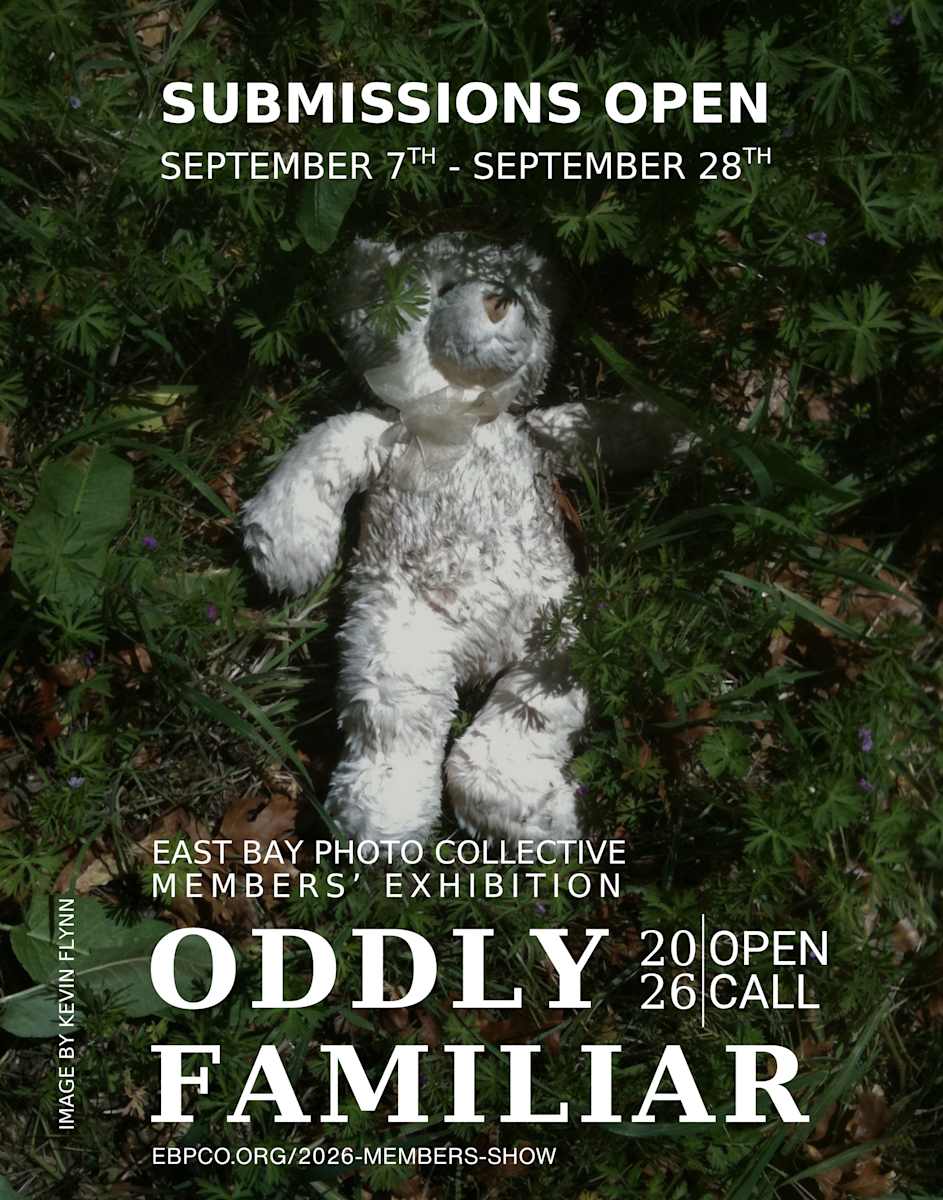 Oddly Familiar; 2026 EBPCO Members' Exhibition