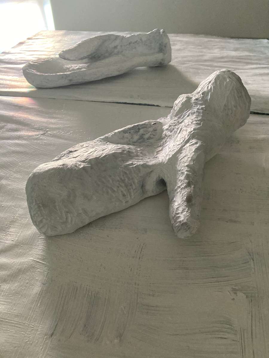 Labrador by Duncan Hewitt, Image 1.