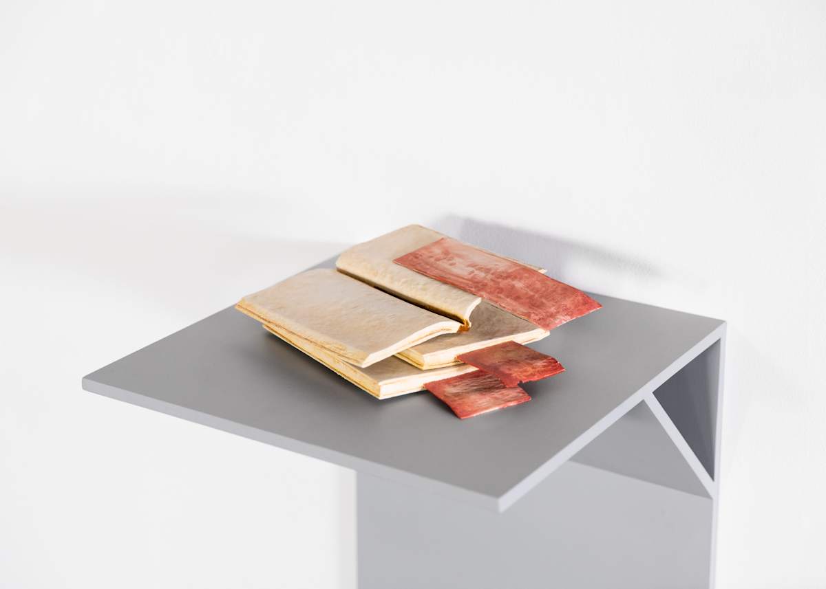 swan by Duncan Hewitt 