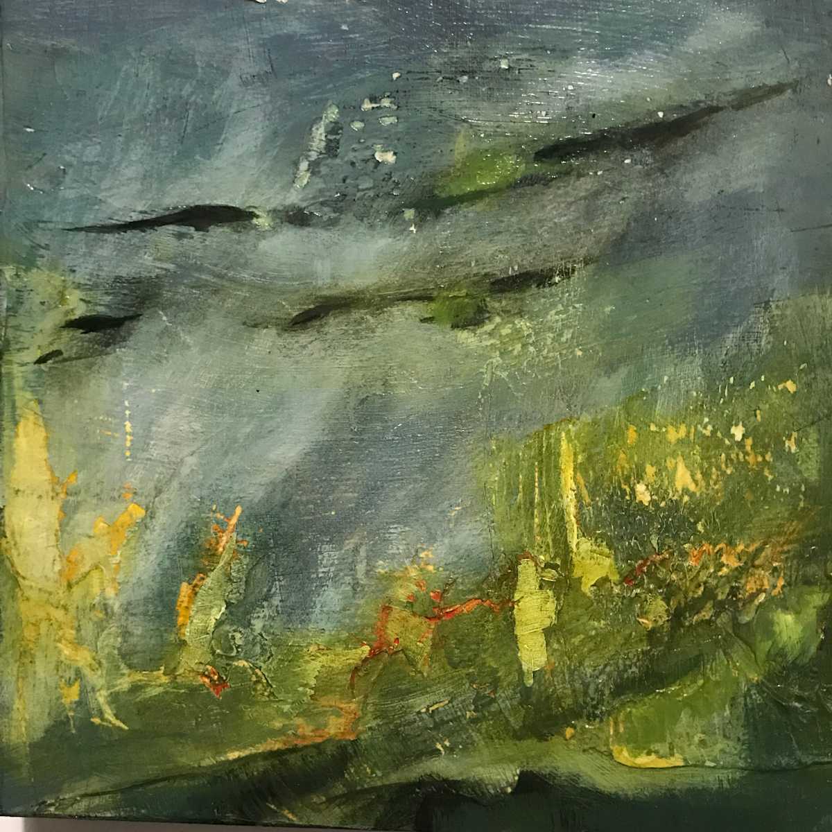 Underwater Meadow by Lorraine Udell  Image: Underwater swim #2 sun catching seaweed