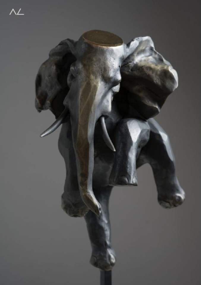 Elefante flotado by Alfredo Cota, Image 1.