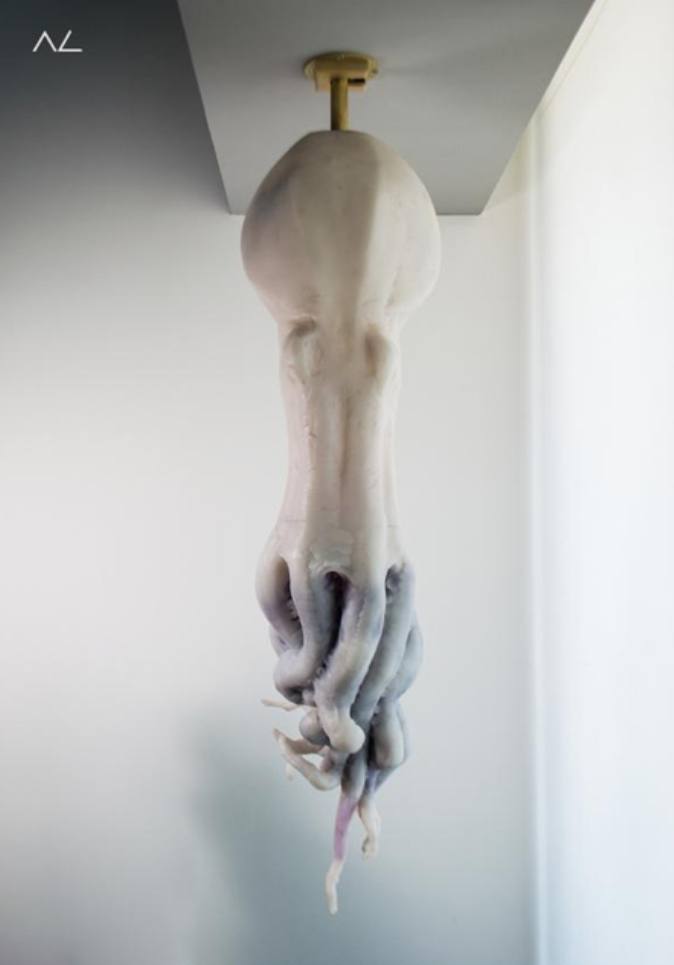 Pulpo resina by Alfredo Cota, Image 1.
