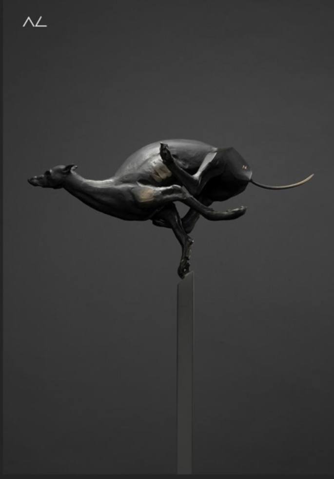 Galgo by Alfredo Cota, Image 1.